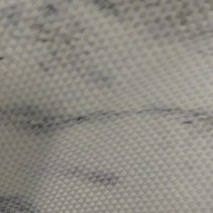 Meet your Posher, Sasha